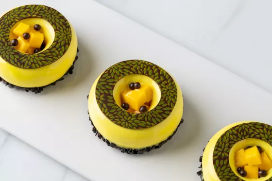 brightly colored tropical petits gateaux